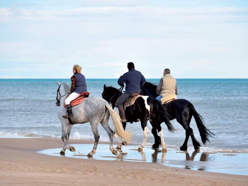 Les Ecuries de l’Eau Blanche